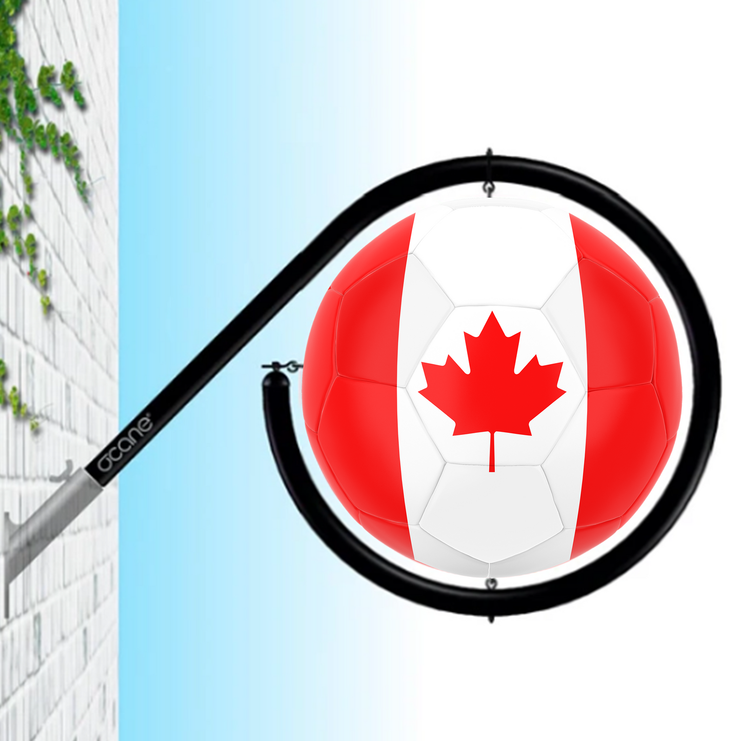 Voetbalvlag (los bord)