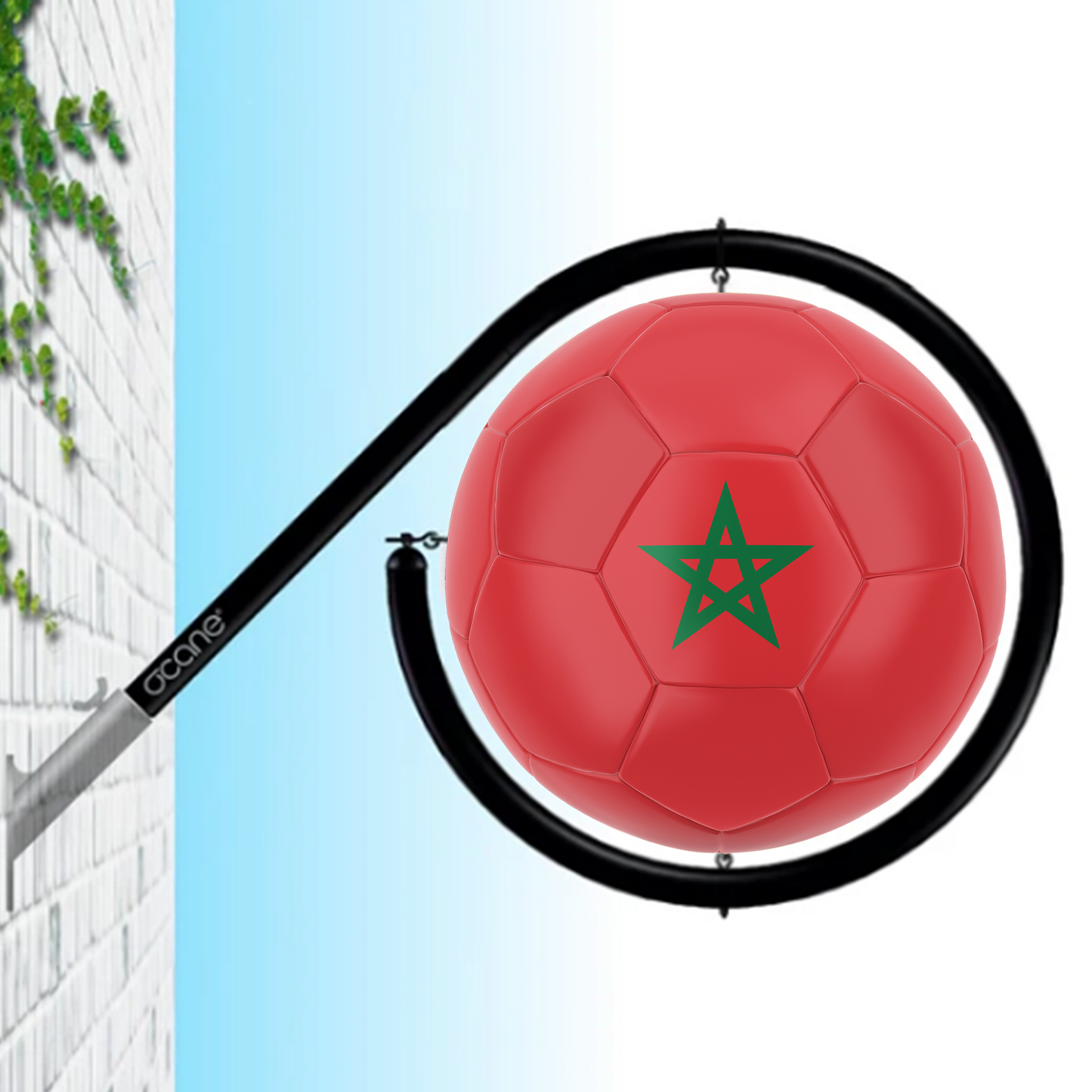 Voetbalvlag (los bord)
